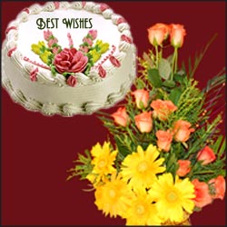 "Crazy Wishes - Click here to View more details about this Product